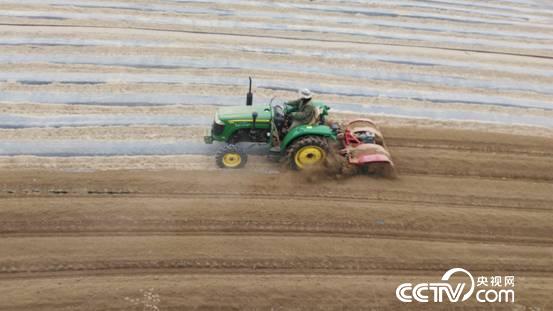 Nowadays, planting potatoes has long been mechanized.